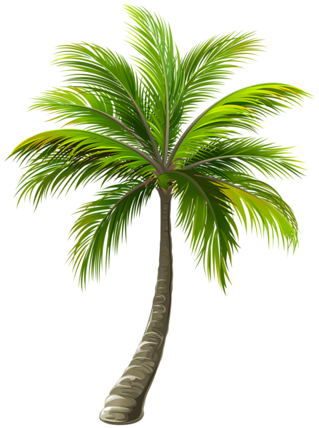 list item image